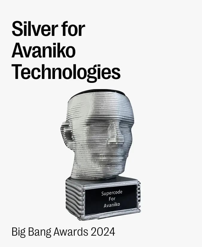 Silver for Avaniko Technologies, Big Bang Awards 2024